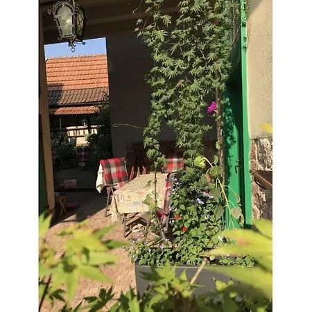 Weinbauernhaus Fischergasse 1 * Lengfurt