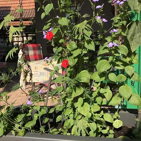 Holiday home Weinbauernhaus Fischergasse 1 Lengfurt